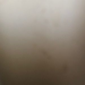 Meet your Posher, Marilyn